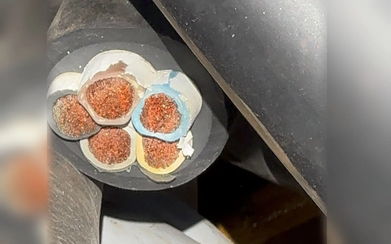 Querschnitt eines Kupferkabels aus dem Kabelschrott bei DINTER Kabelrecycling