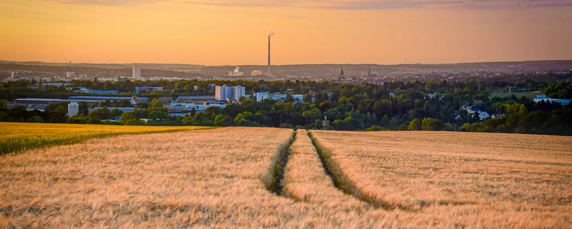 Blick vom Pfarrhübel über die Felder auf Chemnitz