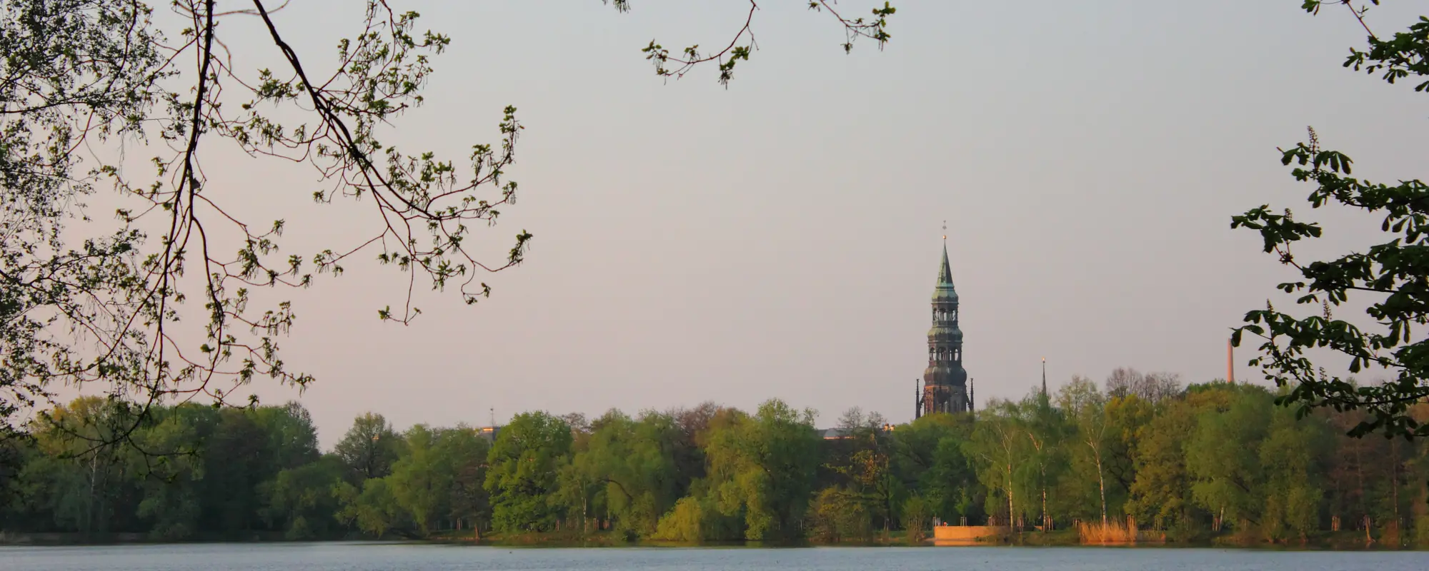 Schwanenteich in Zwickau mit Blick zum Turm des Doms